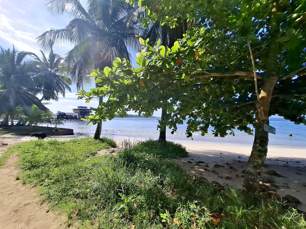 Affordable Beachfront Lot — Isla Carenero - 14