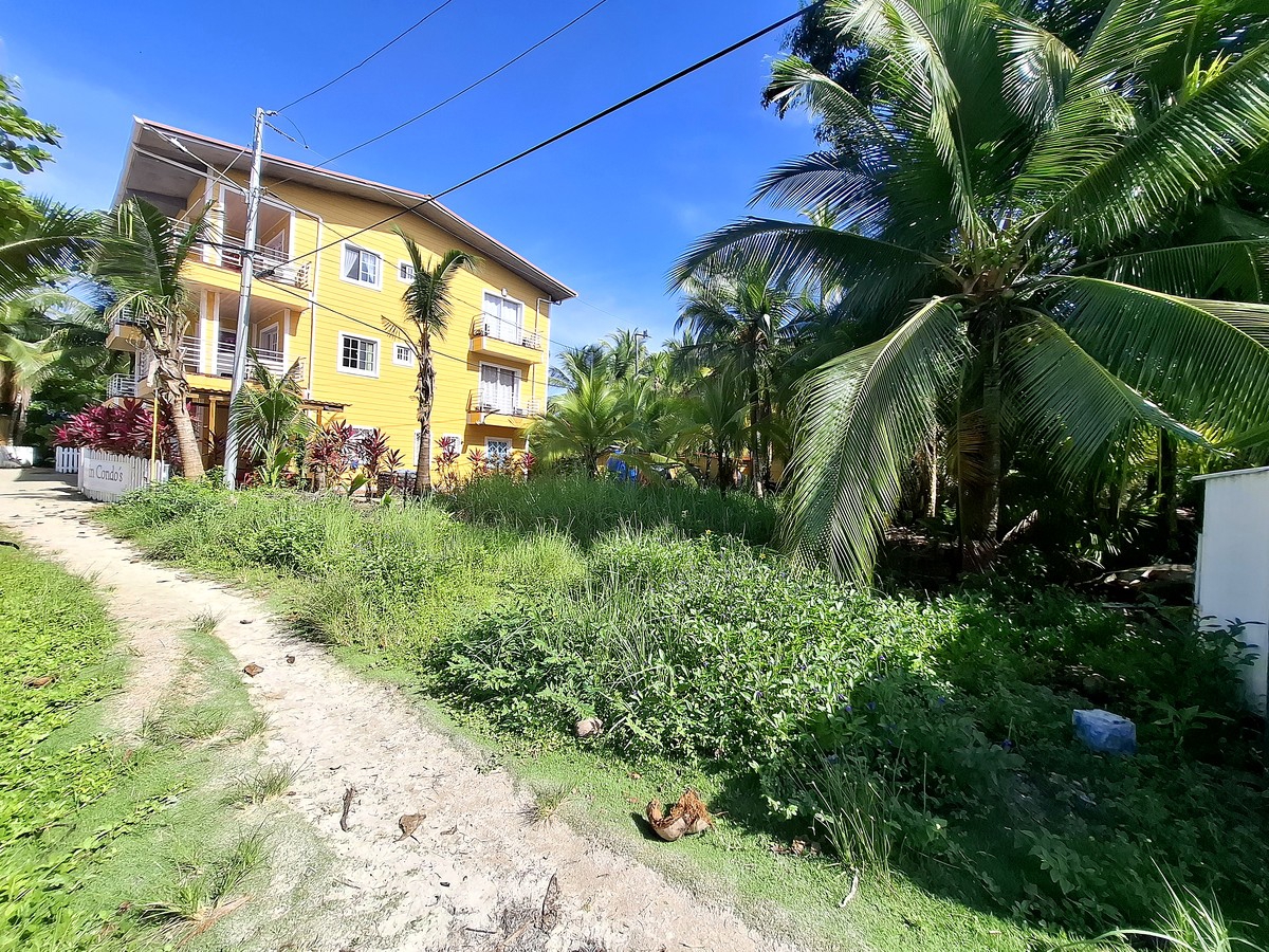 Affordable Beachfront Lot — Isla Carenero - 8