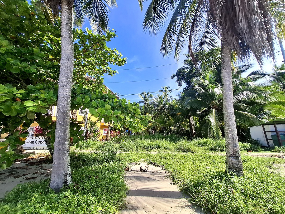 Affordable Beachfront Lot — Isla Carenero - 9