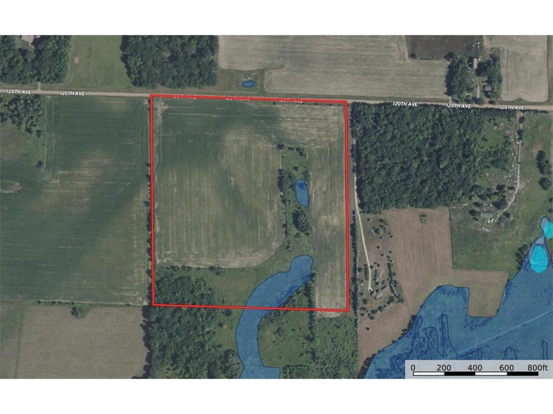 No Caption
