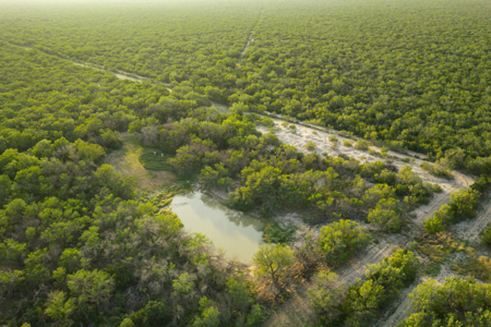South Texas Turnkey Hunting Ranch For Sale - image 15