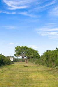 South Texas Turnkey Hunting Ranch For Sale - image 1