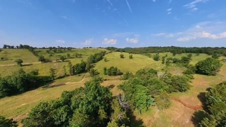 118-Acre Cattle Farm with Custom Home | Gainesville, MO - image 14