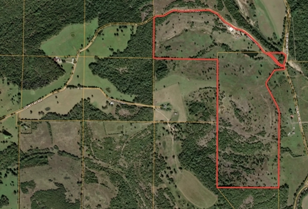 118-Acre Cattle Farm with Custom Home | Gainesville, MO - image 2