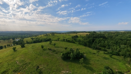 118-Acre Cattle Farm with Custom Home | Gainesville, MO - image 17