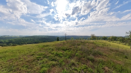 118-Acre Cattle Farm with Custom Home | Gainesville, MO - image 9