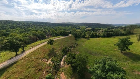 118-Acre Cattle Farm with Custom Home | Gainesville, MO - image 5