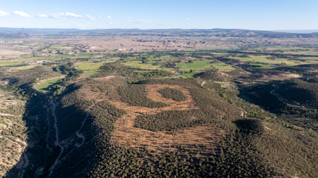 Mountain Hunting Land with Building Site, Utilities, Views - image 15