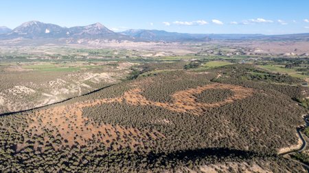 Mountain Hunting Land with Building Site, Utilities, Views - image 14