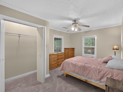 Spacious Home with Guest House on 10 Acres With a Pond - image 48