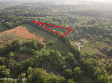 Listing 242