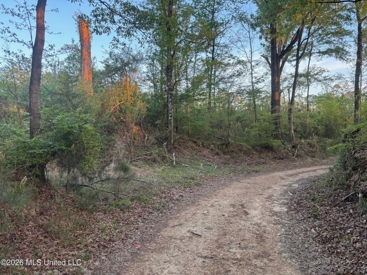 Listing 242