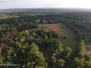 Listing 242