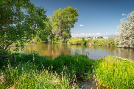 Riverfront, fishing homes for sale on acreage in Ft. Collins CO - image 3