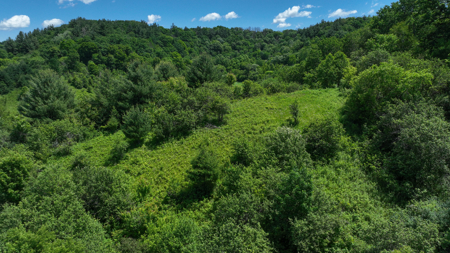 Scenic Country Home & Trophy Whitetail Retreat Near Wildcat Mount - image 40
