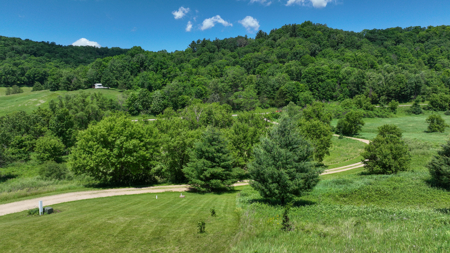 Scenic Country Home & Trophy Whitetail Retreat Near Wildcat Mount - image 46