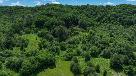 Scenic Country Home & Trophy Whitetail Retreat Near Wildcat Mount - image 39