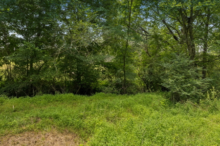 60.5± Acre Farm with Lake, Creek, Privacy & Timber Near Town - image 12
