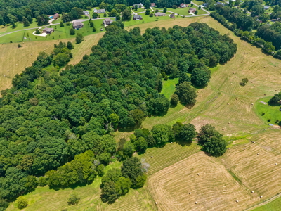 60.5± Acre Farm with Lake, Creek, Privacy & Timber Near Town - image 4