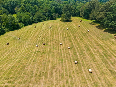 60.5± Acre Farm with Lake, Creek, Privacy & Timber Near Town - image 30