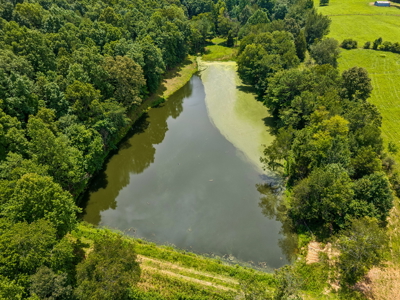 60.5± Acre Farm with Lake, Creek, Privacy & Timber Near Town - image 32