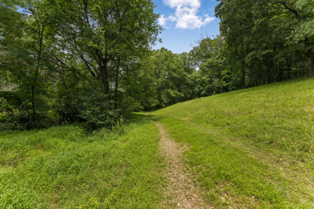 60.5± Acre Farm with Lake, Creek, Privacy & Timber Near Town - image 13