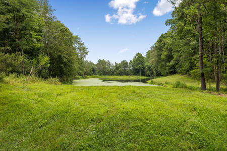 60.5± Acre Farm with Lake, Creek, Privacy & Timber Near Town - image 18