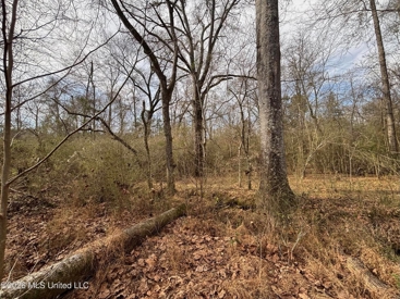 Listing 214