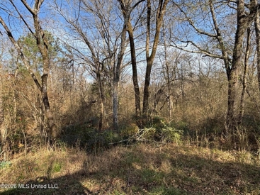 Listing 214