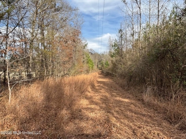 Listing 214