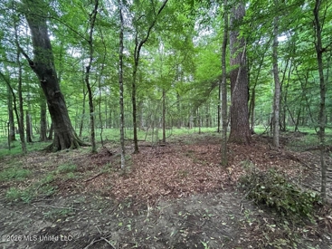 Listing 82