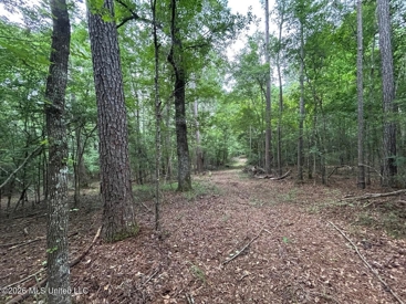 Listing 82