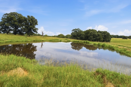 Spectacular 202 Acre Cattle and Horse Farm w/ Custom Rustic Home - image 37