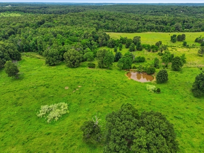 Spectacular 202 Acre Cattle and Horse Farm w/ Custom Rustic Home - image 44