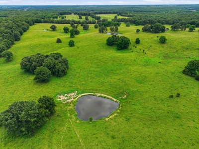 Spectacular 202 Acre Cattle and Horse Farm w/ Custom Rustic Home - image 39