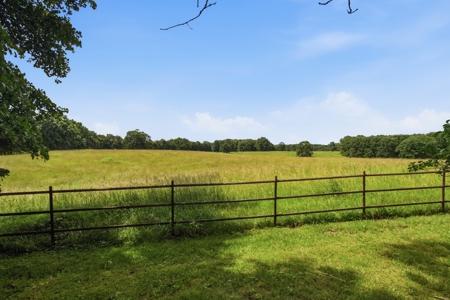 Spectacular 202 Acre Cattle and Horse Farm w/ Custom Rustic Home - image 7