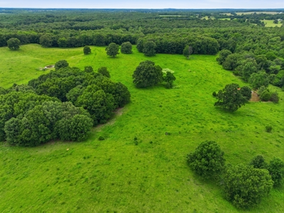 Spectacular 202 Acre Cattle and Horse Farm w/ Custom Rustic Home - image 42