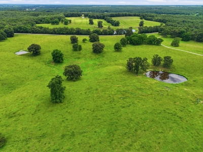 Spectacular 202 Acre Cattle and Horse Farm w/ Custom Rustic Home - image 41