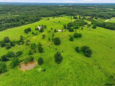 Spectacular 202 Acre Cattle and Horse Farm w/ Custom Rustic Home - image 43