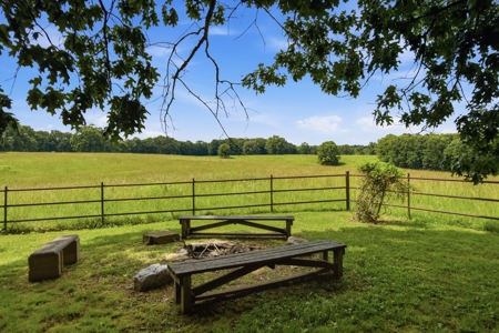 Spectacular 202 Acre Cattle and Horse Farm w/ Custom Rustic Home - image 11