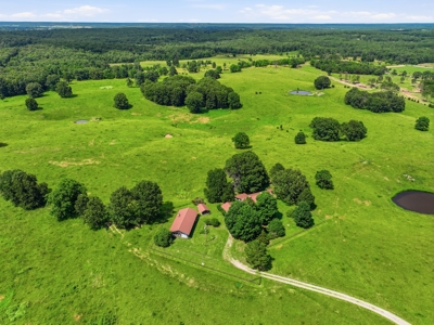 Spectacular 202 Acre Cattle and Horse Farm w/ Custom Rustic Home - image 6