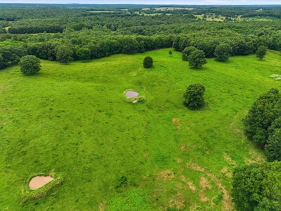 Spectacular 202 Acre Cattle and Horse Farm w/ Custom Rustic Home - image 40