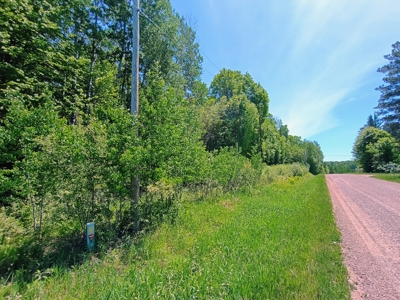 40 ± Acres of Hardwood Timber & Whitetail Hunting in Wisconsin - image 11