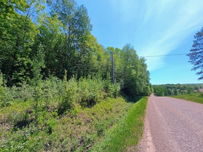 40 ± Acres of Hardwood Timber & Whitetail Hunting in Wisconsin - image 13