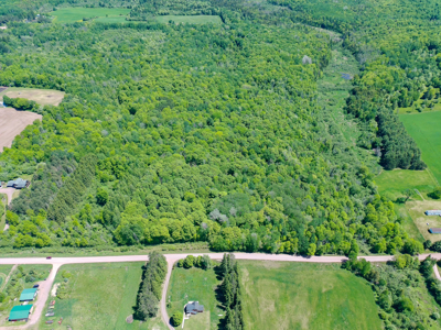40 ± Acres of Hardwood Timber & Whitetail Hunting in Wisconsin - image 1