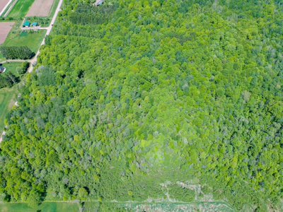40 ± Acres of Hardwood Timber & Whitetail Hunting in Wisconsin - image 12