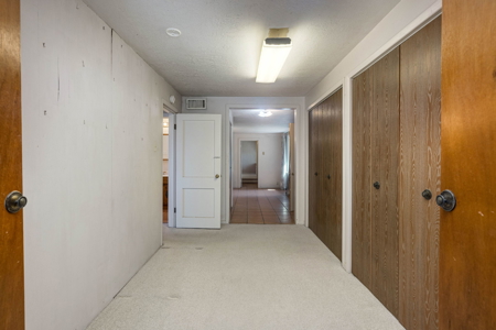 12 Acre Property For Sale in Las Cruces, NM - image 10