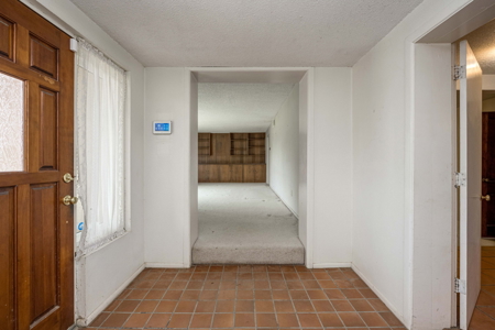 12 Acre Property For Sale in Las Cruces, NM - image 3