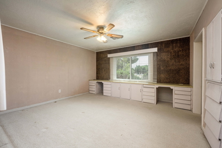 12 Acre Property For Sale in Las Cruces, NM - image 22