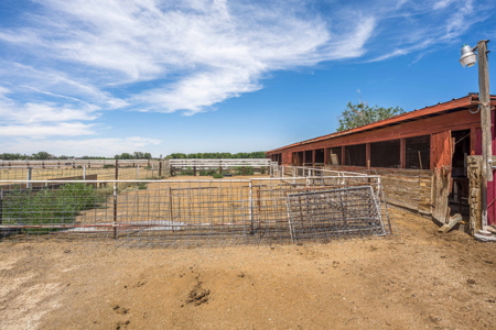 12 Acre Property For Sale in Las Cruces, NM - image 33